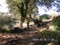 Coordinamento della sicurezza in fase di esecuzione per i lavori di mitigazione del rischio idraulico del fiume Pescara, in Comune di Pescara, tratto a monte del ponte ferroviario prima del tratto canalizzato. - Rimozione della vegetazione presente lungo gli argini fluviali.