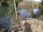 Coordinamento della sicurezza in fase di esecuzione per i lavori di mitigazione del rischio idraulico del fiume Pescara, in Comune di Pescara, tratto a monte del ponte ferroviario prima del tratto canalizzato. - Presenza di relitti arborei in alveo.