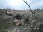 Coordinamento della sicurezza in fase di esecuzione per i lavori di mitigazione del rischio idraulico del fiume Pescara, in Comune di Pescara, tratto a monte del ponte ferroviario prima del tratto canalizzato. - Stoccaggio di tronchi, rami e cespugli rimossi dall'alveo fluviale.
