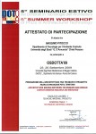 V seminario estivo OsDotTA 09. Università degli Studi Mediterranea di Reggio Calabria.